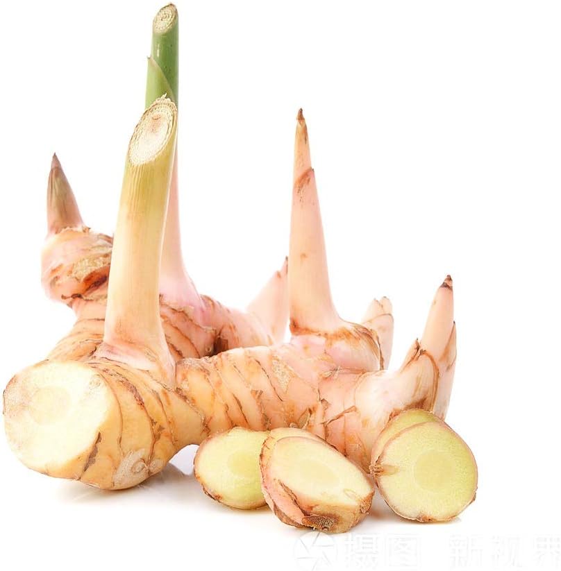 Kejora Fresh Galangal 8 oz