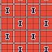 ILLINOIS FIGHTING ILLINI FLANNEL FABRIC-UNIVERSITY OF ILLINOIS FLANNEL FABRIC SOLD BY THE YARD