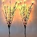 The Light Garden HW060 Decorative Branches