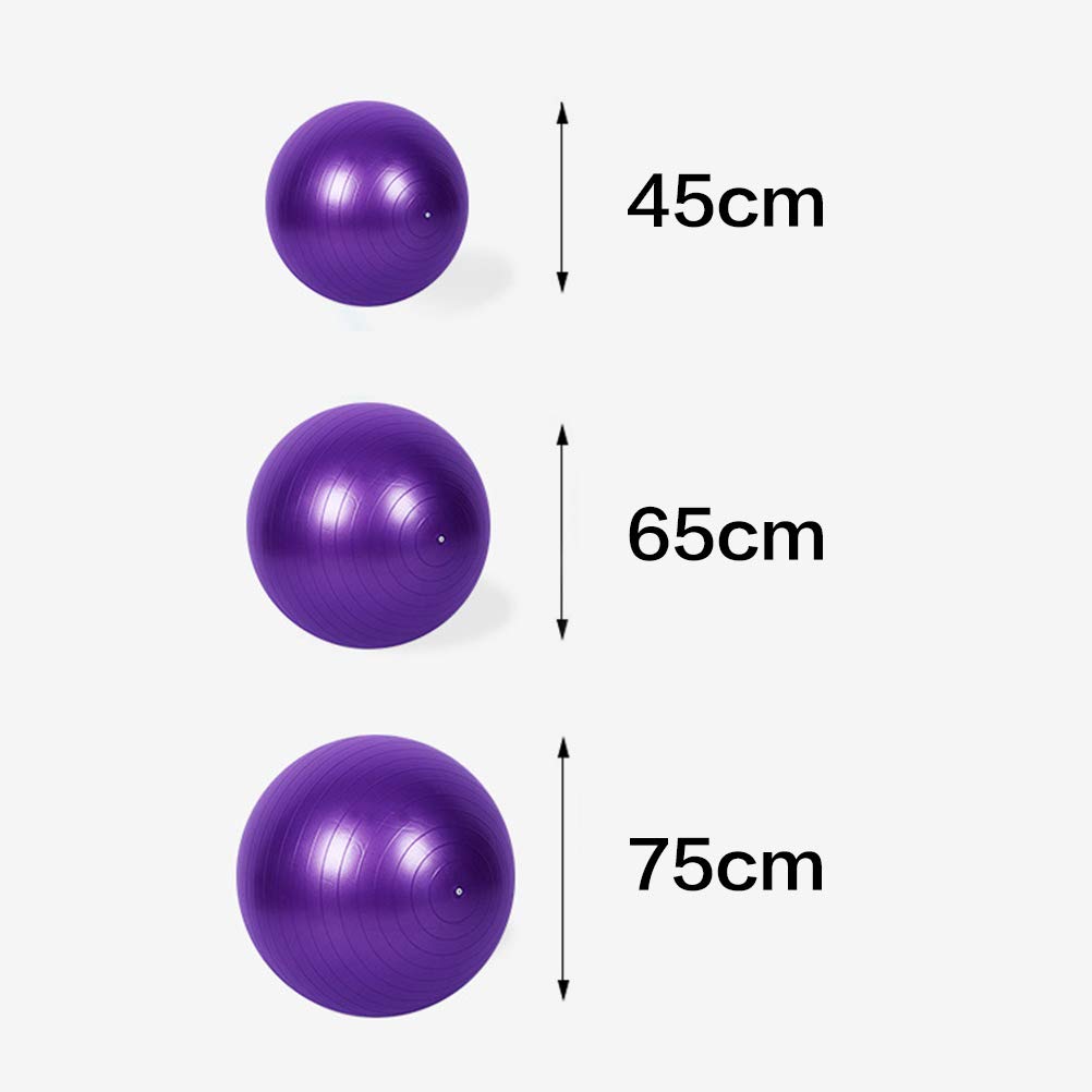 ZHIYE Purple Pilates Ball 45 CM Yoga Exercise Ball Core Fitness Bender, Yoga, Stability, Barre - Image 2