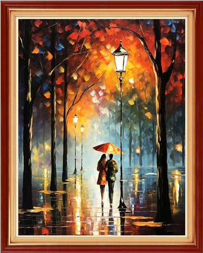 Image of Dimensean Stamped Cross Stitch Kits Full Range of Embroidery Patterns Starter Kits for Beginners Adult or Kids DIY Cross Stitches Needlepoint Kits 11CT-Lovers Walk 16x20 inch