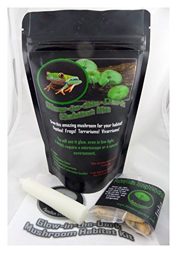 Forest Organics Glow in the Dark Mushroom Growing Log Habitat Kit