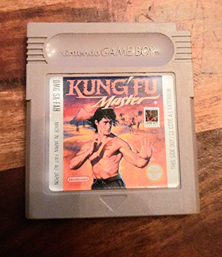 Kung Fu Master - [Game Boy]