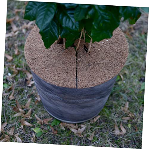 Anneaux de paillis coir protection hivernale gel humidité sol pots légumes 12 pièces