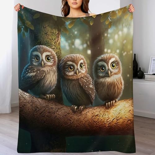 Couverture thermique hibou plaid flanelle lavable machine lit et canape - 2