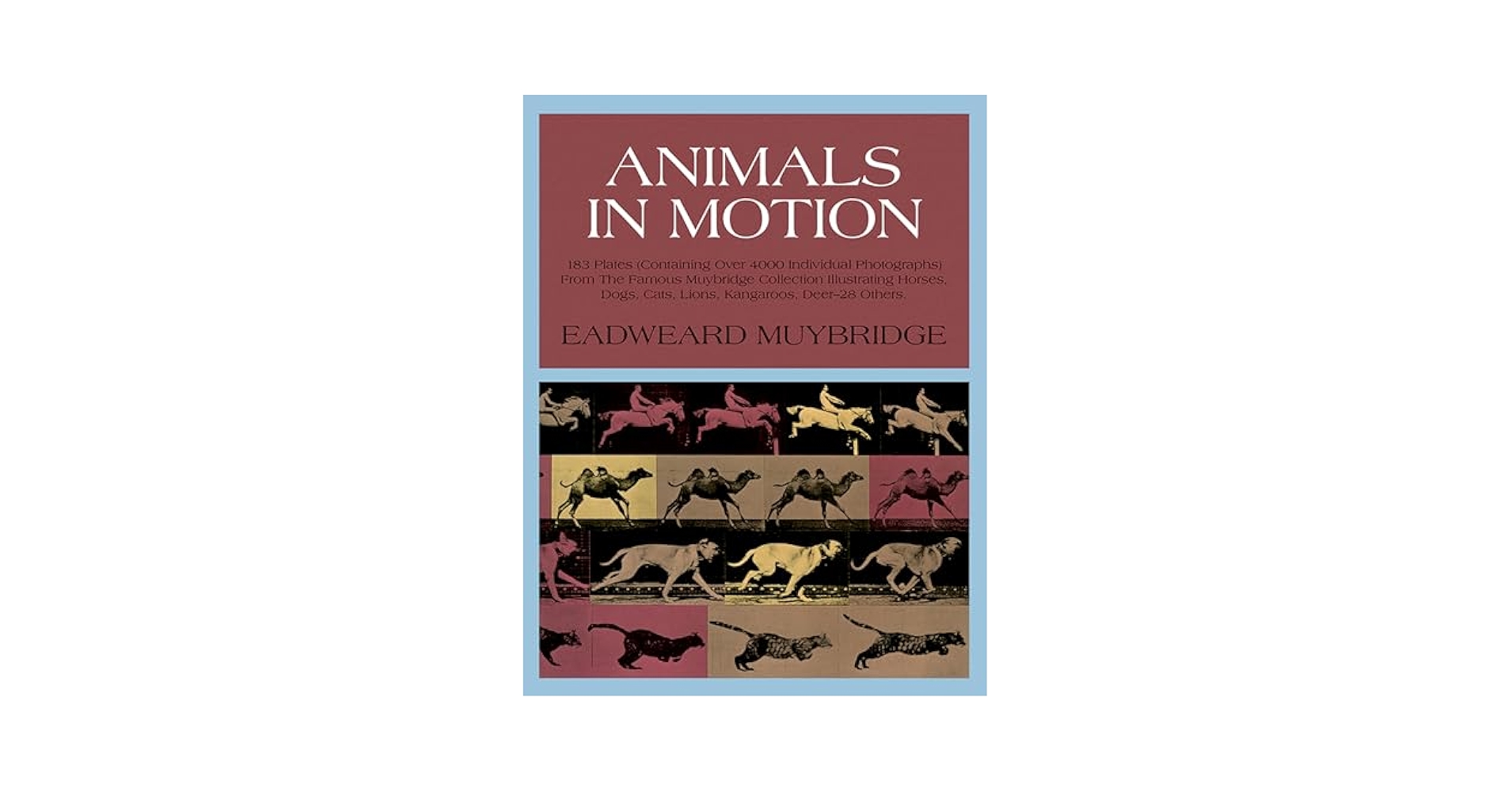 洋書 ANIMALS IN MOTION Set of 4 A to Z Dictionary of Extreme Animals, Dinosaur