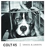 colt 45 lyrics  Snakes & Ladders