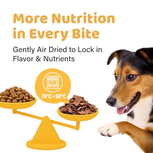 iPaw Air-Dried Turkey Dog Treats, Extra Virgin Olive Oil Added, Made with Turkey Meat, Chicken Heart and Duck Liver, High Protein, Soft Treats for All Age Dogs, Freeze-Dried Alternative (3.5oz/Pack)