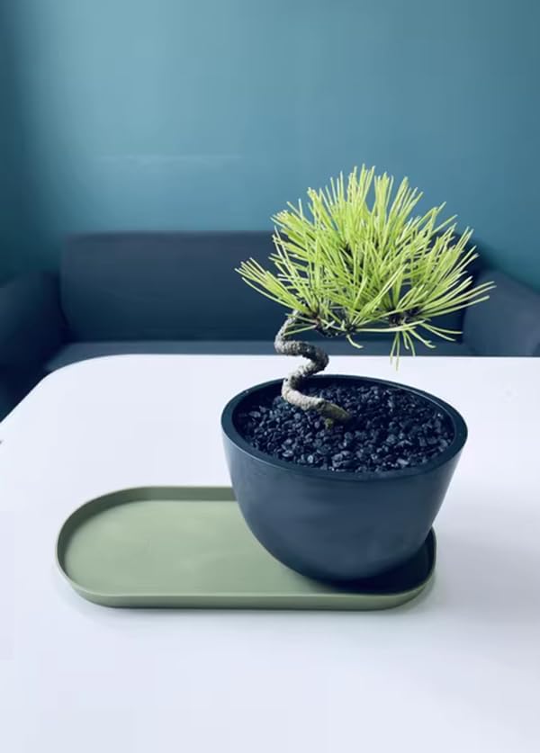 Miniatura 4 de Moldes ovalados de silicona ovalados extra grandes para platos de resina, bandeja de hormigón, bricolaje, 12.2 x 5 x 0.6 pulgadas, paquete de 2