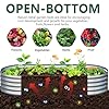 Yortrek 2PCS 12x2x1FT Galvanized Raised Garden Bed Kit,Vegetable Boxes-Oval Metal Flower Box,Large Planter Raised Beds Outdoor Garden for Planting,Fruit,Herb-Silver #2