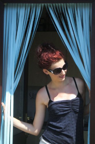 Holland Plastics Slat Door Curtain Bug Fly Strip Powder Blue