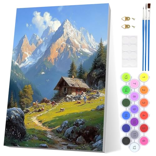 EOBROMD Montagnes Enneigées Peinture Numero Adulte avec Cadre, Paysage Loisirs Créatifs Adultes, Kits de Peinture au Numéro Bricolage, Peinture de Dessin de Pigment Acrylique pour la Maison 20x30cm
