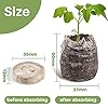 MAQIHAN 50PCS Peat Pellets for Seedlings - 35MM Seed Starter Pellets Peat Pods for Starting Seeds Garden Soil for Planting Transplanting Growing Garden Flower Vegetables Germination Propagation Tray #1
