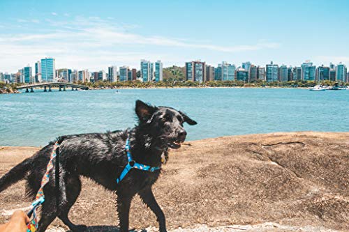 Peitoral Para Cachorros dog27 Sail Tamanho:M