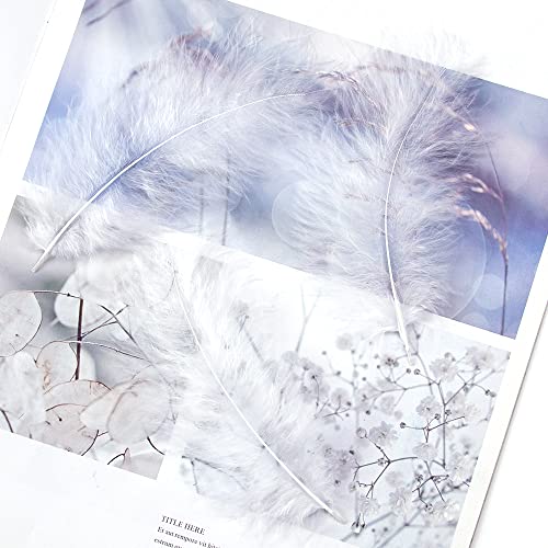 200Pcs 4-6 Inches Fluffy Turkey Marabou White Feathers For Crafts Dreamcatcher Fringe Trim Colored Feathers Accessories Pack #TOP3