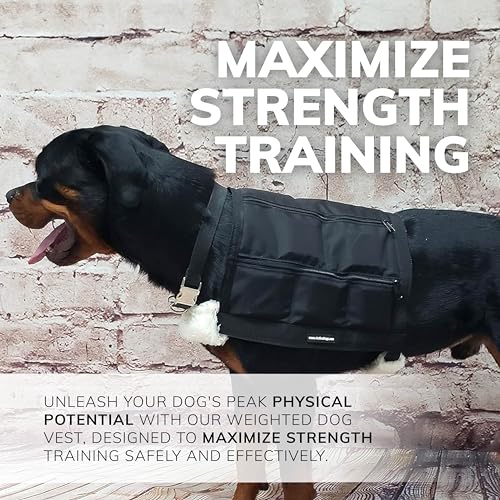 Activedogs Activedogs Weighted Dog Vest With Weights thumb #3