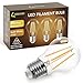 LOHAS Glühbirne E27 LED warmweiss, 8W Glühbirne E27 Vintage Ersatz für 80W Glühlampe, E27 LED Warmweiss 2700K, 1050LM Filament Lampe, A60 Filament LED E27, Nicht Dimmbar, 3er Pack