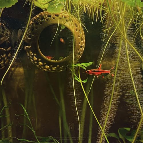 byMazy Betta Höhle Lounge | Aquarium Deko Versteck & Hängematte, Durchschwimm-Tunnel für Betta, kleine Fische, Garnelen – Aquariendeko mit Pflanzenhalter (Schwarz, Klein)