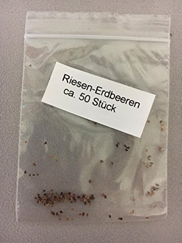 Fragole giganti - Fragaria Ananassa - Semi di