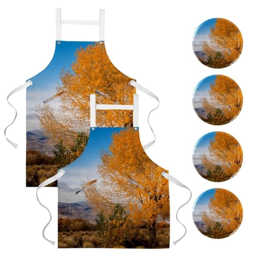 Tablier de serveuse multicolore pour sublimer vos ateliers pâtisserie et service au bar