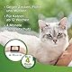 BEAPHAR - Zecken- Und Flohschutz Halsband Für Katzen Ab 12 Wochen - Repellent - 4 Monate Schutz Vor Zecken, Flöhen Und Mücken - Regenfest - Bandlänge 35 cm - Beige