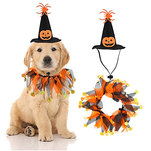 Best Dog Halloween Costumes Medium 2023