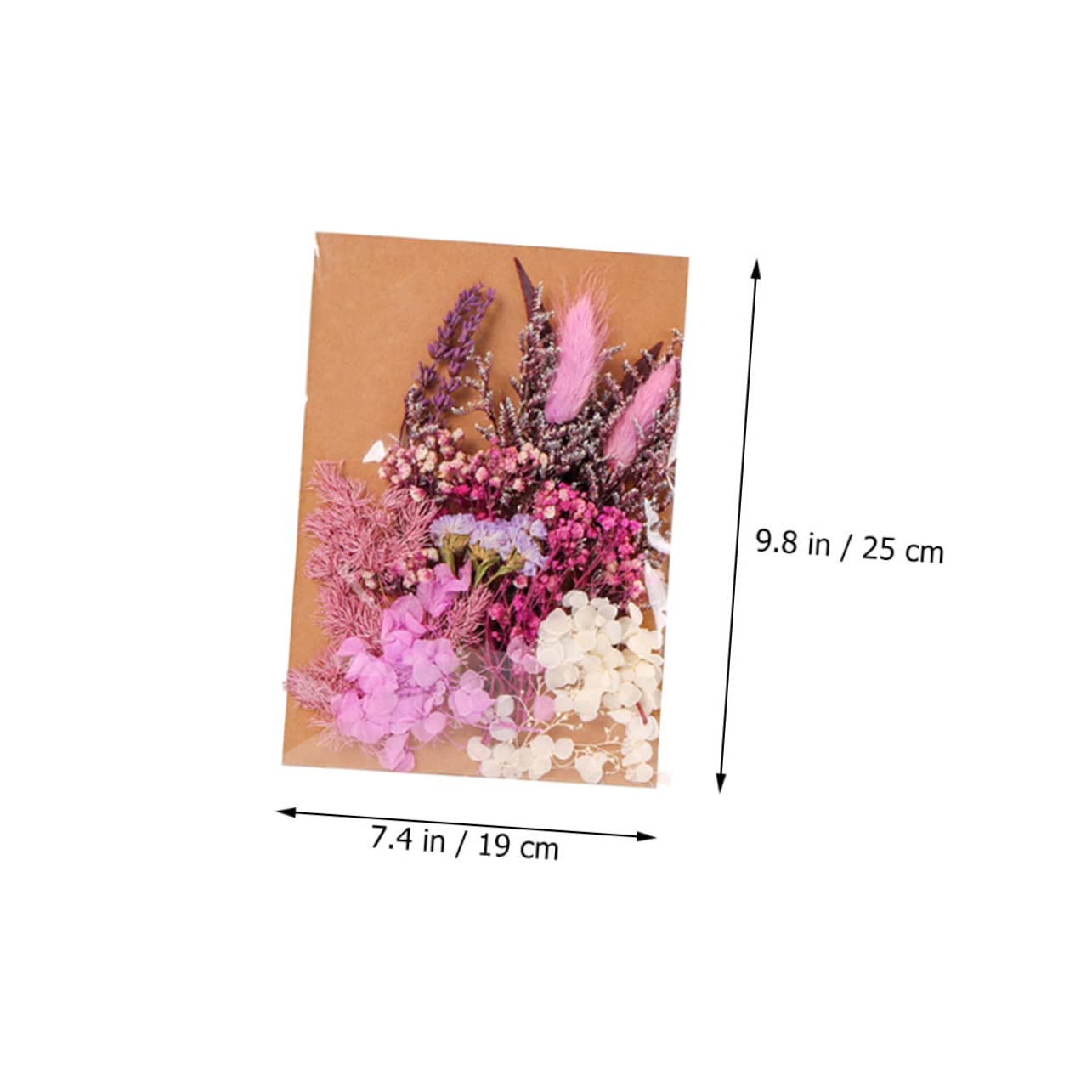 STOBAZA 2pièces De Fleurs Séchées Matériaux pour Bougies Aromatiques Fleurs Décoratives pour Artisanat Et Décoration Intérieure