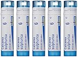 Boiron Calcarea Sulphurica 6C (Pack of 5), Homeopathic Medicine for Acne