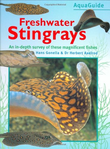 Freshwater Stingray: An In-Depth Survey of These Magnificent Fishes (Aquaguide)
