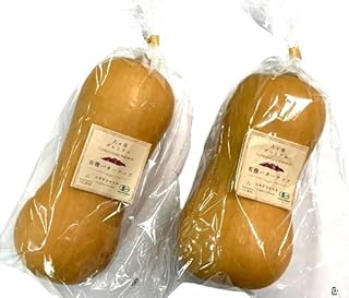 【有機認証】山梨県 八ヶ岳の有機バターナッツかぼちゃ・大サイズ（0.6～1.2kg）1個 x2個セット【冷蔵】