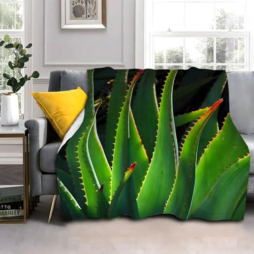 LLSZAHD Aloe Vera Verde Manta Franela, Plantas Patrón Transpirable Mantas 70x100cm Adecuada para Todas Las Estaciones - Suave y CóModo Manta para Adultos, Niños, Sofá, Cama, Viaje
