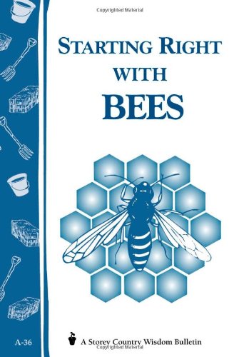 Starting Right With Bees