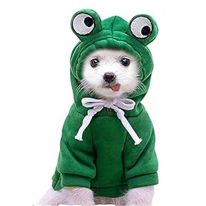 Dog Christmas Halloween Costumes,Dog Hoodies for Small Dogs Cats, Cat Puppy Outfits,Yorkie Chihuahua Pomeranian Clothes (Medium, Green-Frog)