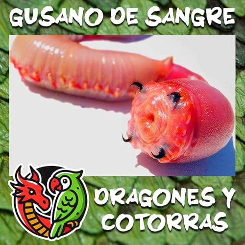 Gusano de sangre: El habitante del barro con dientes de metal