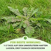 TerraUno Rasendünger mit Unkrautvernichter extra stark, 100 Tage Langzeitwirkung, 10 kg für 500 m², gegen Löwenzahn, Klee uvm., Rasenunkrautvernichter mit Dünger für saftiges Grün im Frühjahr & Sommer – Ansicht 5