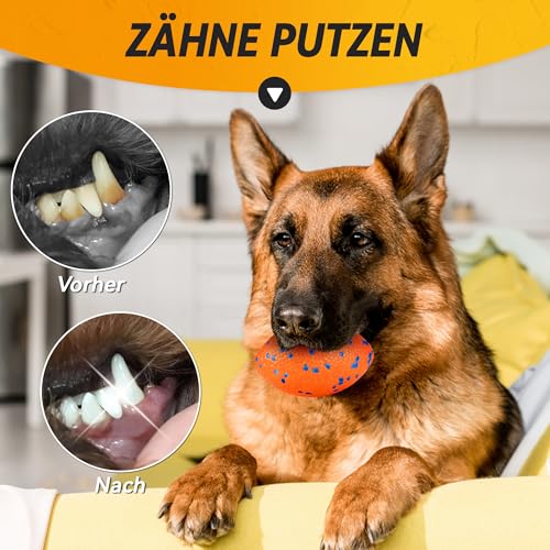 SUNNEKO Hundeball, Robustes Hundefußballspielzeug für Starke Kauer, Unzerstörbarer großer Rugbyball, Schwimmendes Hundespielzeug für Apportierspiele im Wasser, Für mittelgroße und große Hunde, Orange