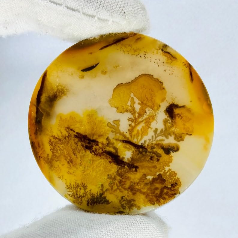 Agate dendritique Shajar naturelle cabochon 38mm gemme de collection joaillerie