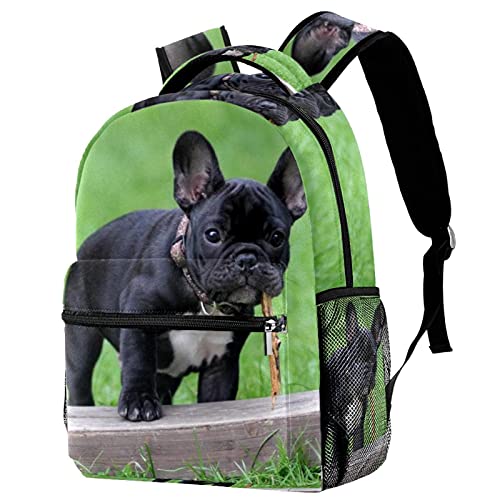 Sac à dos bouledogue français avec porte-bouteille pour loisirs