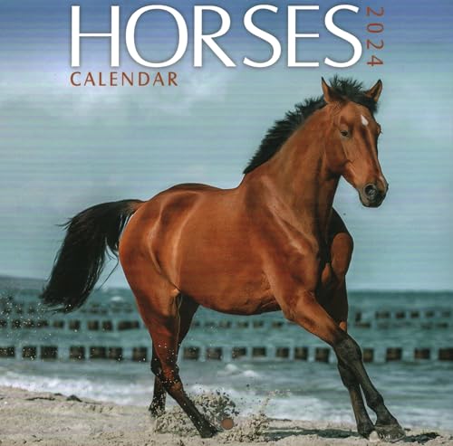 2024 Horses Mini Wall Calendar