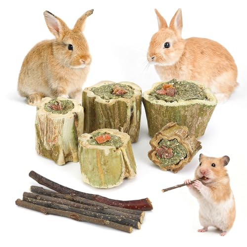 Kaninchen Kauspielzeug für Zähne,Kaninchen Papaya Holz Snack Zahnpflege Molar Apfelholzstäbchen...