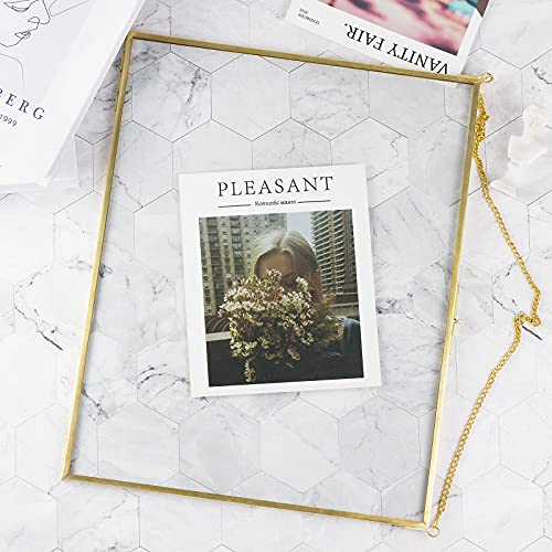 Jajamy 11X14 Inch Pressed Flowers Glass Picture Frames For Artwork Certificate, Horizontal Gold Brass Double Glass Clip Frame, Wall Hanging Dried Flower Plant Specimen Vintage Modern Geometric Decor #TOP6