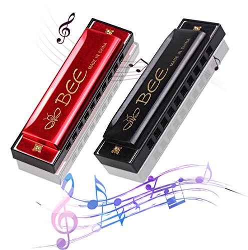 2 Stück Mundharmonika C-Dur Major Blues Harmonika,Diatonische Harmonika,Mundharmonika für Kinder,10 Löcher mundharmonika Diatonisch,für Anfänger/Profis mit Etui