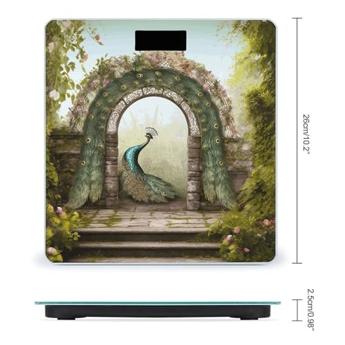 Báscula digital para baño con vidrio templado y pantalla LCD miniatura 2