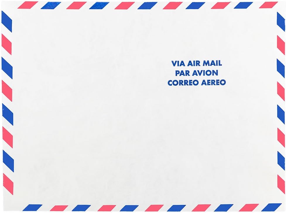 JAM PAPER Tyvek Tear-Proof Open End Catalog Envelopes - 9 x 12 - White Airmail - 25/Pack