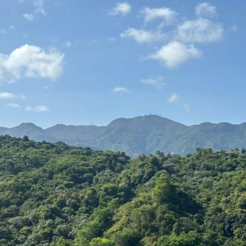 Cerro Punta