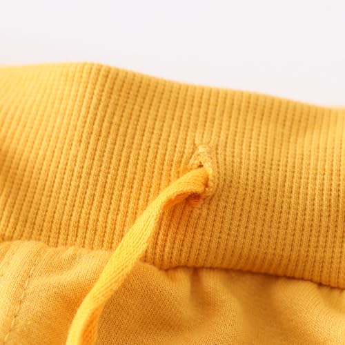 Image of Little Boys Jogger Pants Toddler Boys' Drawstring Elastic Waist Cotton Casual Sweatpants 1PC / 2 PCS Set