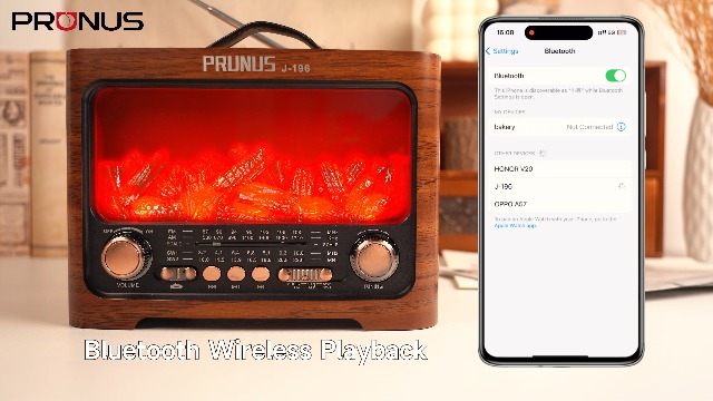 Amazon.com: PRUNUS J-196 AM FM Radio with Best Reception