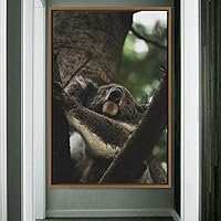 Framed Canvas Wall Art Koala Bear Animals Expressive Farmhouse/Country Living Room Monkey Multicolor Photography - 16x24 inches