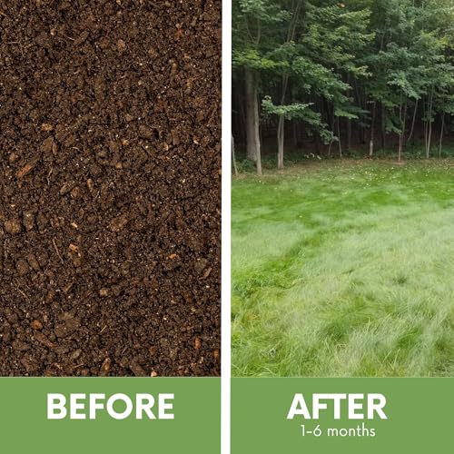 Grass Seed Blends For Low Maintenance And Minimal Mowing