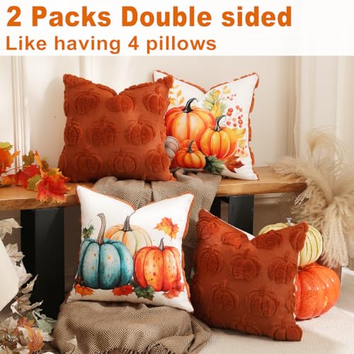 TOYPOPOR Fall Decorations, 2 Packs Double Sided Throw Pillow Covers, Rust Red Soft Faux Fur Pumpkin Pillow Cases Autumn Harvest Thanksgiving Indoor Outdoor Home Decor for Living Room Porch Couch 16x16